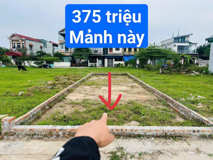 Đầu tư đất Lạc Thủy giá rẻ bất ngờ – 375 triệu có ngay lô đẹp!
