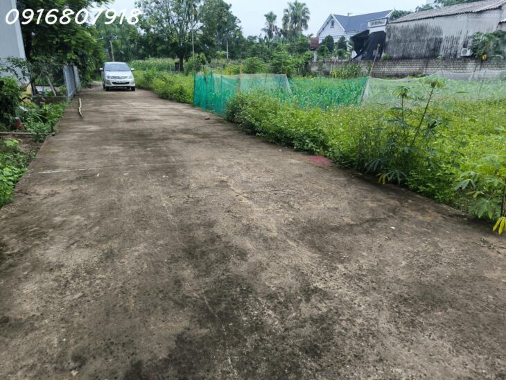 Bán gấp đất tại đường Tỉnh Lộ 317C, Xã Thắng Sơn, Thanh Sơn, Phú Thọ, 730 triệu, 100m2