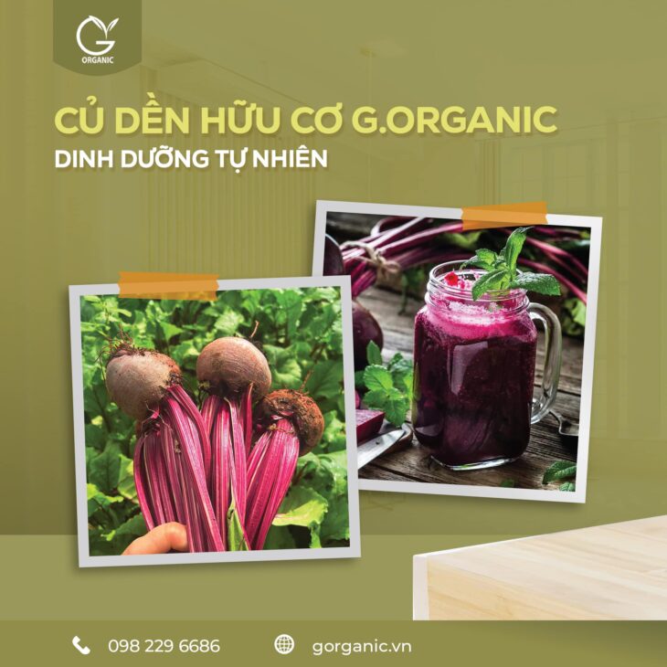 G.Organic – Từ tâm huyết cá nhân đến hệ sinh thái nông nghiệp