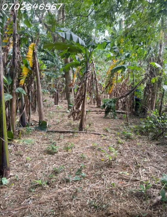 SIÊU PHẨM – BÁN ĐẤT VƯỜN VIEW SUỐI – HOÀ BẮC “CÓ 1 KHÔNG 2” DT 1.780m², GIÁ ĐẦU TƯ