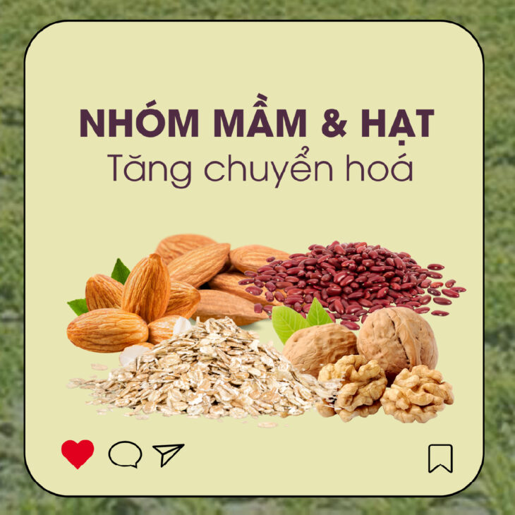 CHẤT XƠ – CHÌA KHÓA THẦM LẶNG CHO MỘT CƠ THỂ KHỎE MẠNH