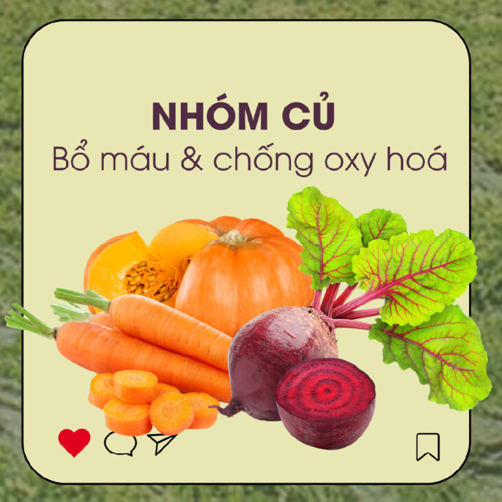 G.Organic – Vì sao sản phẩm hữu cơ thường có hạn sử dụng ngắn?