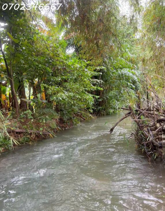 SIÊU PHẨM – BÁN ĐẤT VƯỜN VIEW SUỐI – HOÀ BẮC “CÓ 1 KHÔNG 2” DT 1.780m², GIÁ ĐẦU TƯ