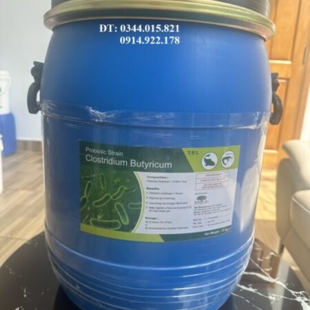 Men vi sinh Clostridium Butyricum, bổ sung vi sinh đường ruột cho tôm cá, vật nuôi
