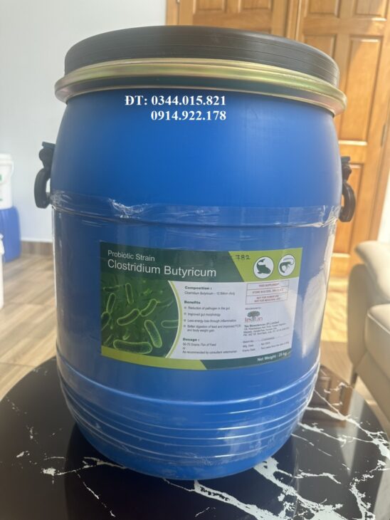 Men vi sinh Clostridium Butyricum, bổ sung vi sinh đường ruột cho tôm cá, vật nuôi