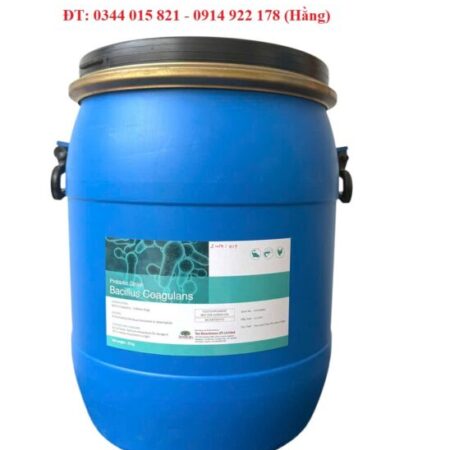 Men vi sinh Bacillus Coagulans, giúp tôm cá tiêu hóa tốt thức ăn