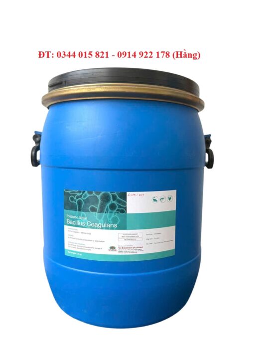 Men vi sinh Bacillus Coagulans, giúp tôm cá tiêu hóa tốt thức ăn