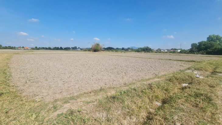 Bán 20m x 39m đất ODT Hẻm Đinh Bộ Lĩnh – Phước Hội – LaGi 1.05 tỷ chính chủ