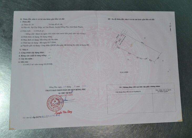 ĐẤT ĐẸP CẦN BÁN – XÃ TÂN PHƯỚC, ĐỒNG PHÚ, BÌNH PHƯỚC GIÁ CHỈ 9 TỶ/HA