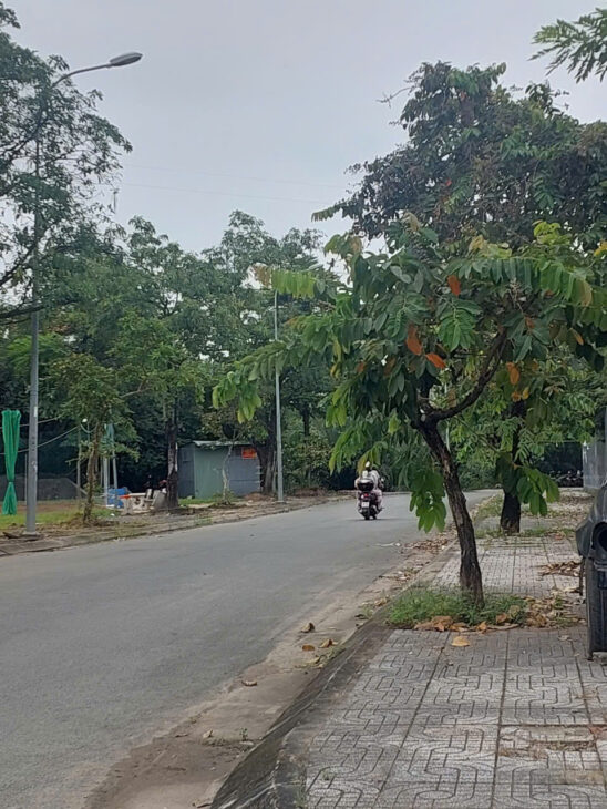 Lô đấp đẹp xây biệt thự nhà phố gần Trương Gia Mô, Thạnh Mỹ Lợi,Quận 2