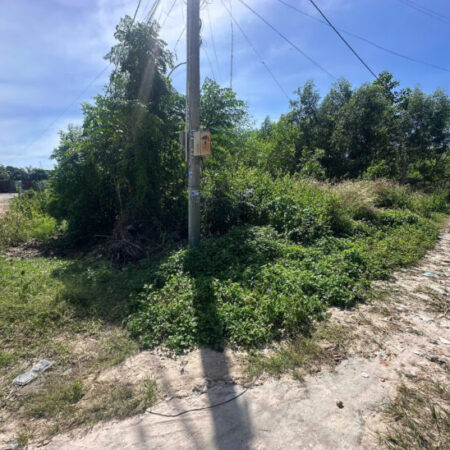 Bán đất thổ cư Hẻm Thượng Hiền – Tân An – LaGi giá gốc Bán đất thổ cư Hẻm Thượng Hiền – Tân An – LaGi giá gốc