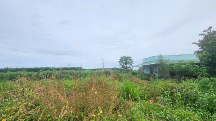 Bán 9973m2 giáp Hồ Núi Đất – Tân Tiến – LaGi giá ngộp 1.5 tỷ sổ riêng