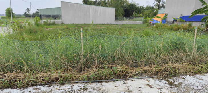 CHÍNH CHỦ BÁN CĂN HỘ THUỘC DỰ ÁN SUN GRAND CITY HILLSIDE RESIDENCE, PHÚ QUỐC