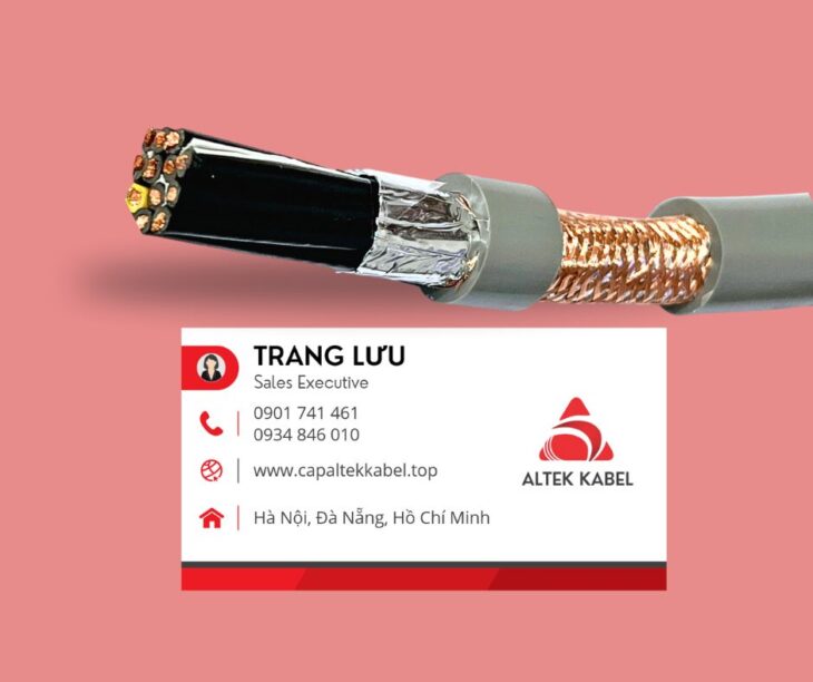 Trang Avatar - Hà Nội Today