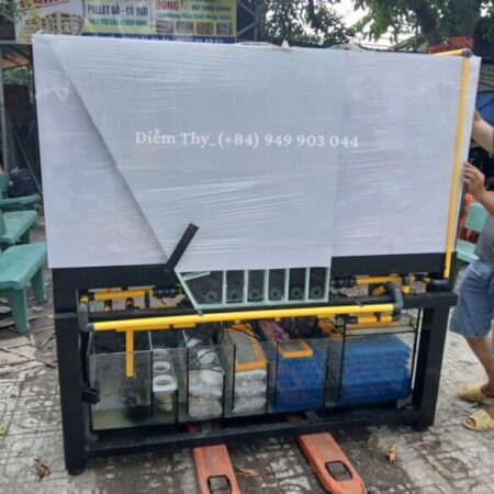 GỬI HỒ CÁ ĐI MỸ – ÚC BẰNG ĐƯỜNG BIỂN