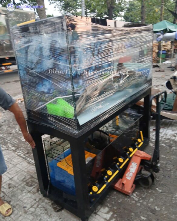 GỬI HỒ CÁ ĐI MỸ – ÚC BẰNG ĐƯỜNG BIỂN