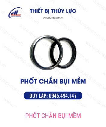 Phốt chắn bụi tại Duy Lập Đồng Nai Phốt chắn bụi tại Duy Lập Đồng Nai