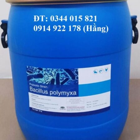 Bacillus Polymyxa, men vi sinh hỗ trợ đường ruột cho tôm cá