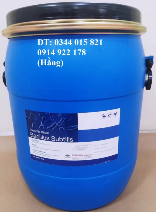 Men vi sinh Bacillus Subtilis, giúp tôm cá tiêu hóa tốt thức ăn