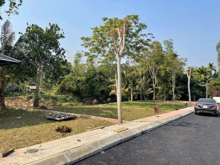 🌿 KHU ĐẤT KIM BÔI – NHÌN LÀ THẤY TIỀM NĂNG