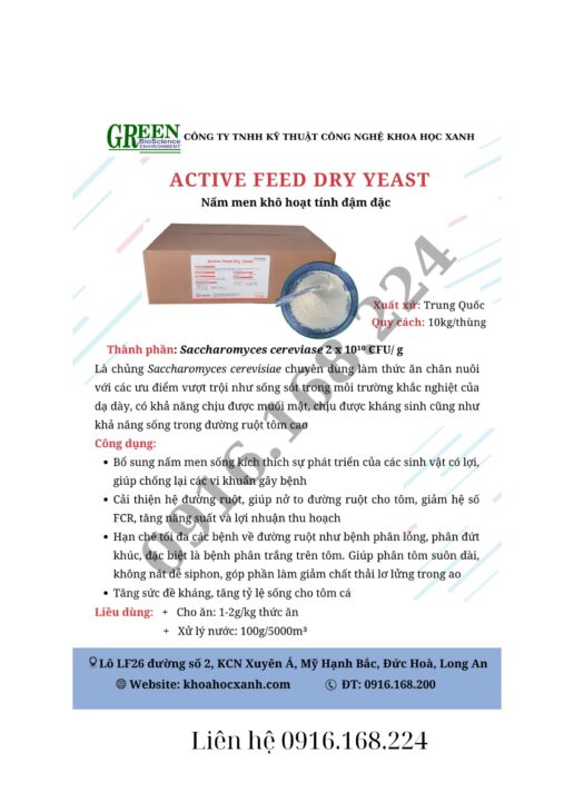 ACTIVE FEED DRY YEAST – NẤM MEN KHÔ HOẠT TÍNH ĐẬM ĐẶC