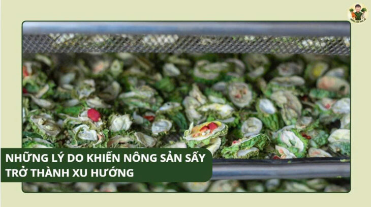 Những Lý Do Khiến Nông Sản Sấy Trở Thành Xu Hướng Những Lý Do Khiến Nông Sản Sấy Trở Thành Xu Hướng