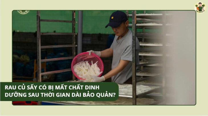 Rau củ sấy có bị mất chất dinh dưỡng sau thời gian dài bảo quản?
