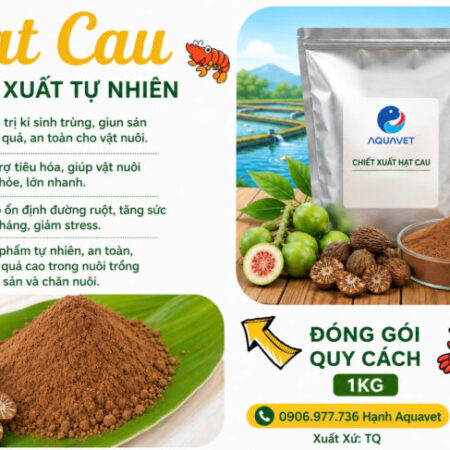 Thảo dược Chiết xuất hạt cau đánh bay kí sinh trùng ở tôm cá