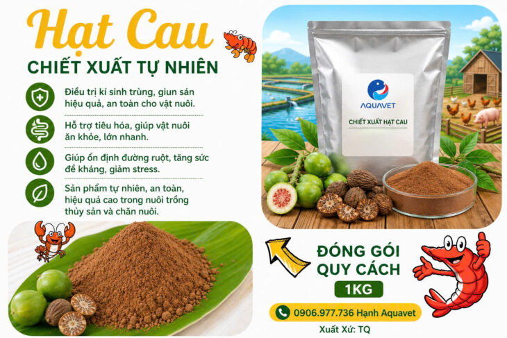 Thảo dược Chiết xuất hạt cau đánh bay kí sinh trùng ở tôm cá