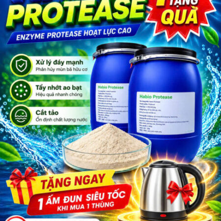 Enzyme cắt tảo, tẩy nhớt, xử lý đáy Enzyme cắt tảo, tẩy nhớt, xử lý đáy