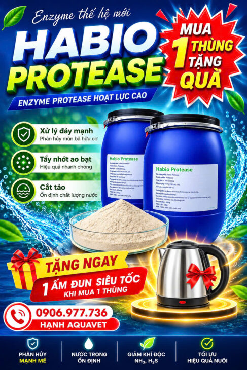 Enzyme cắt tảo, tẩy nhớt, xử lý đáy