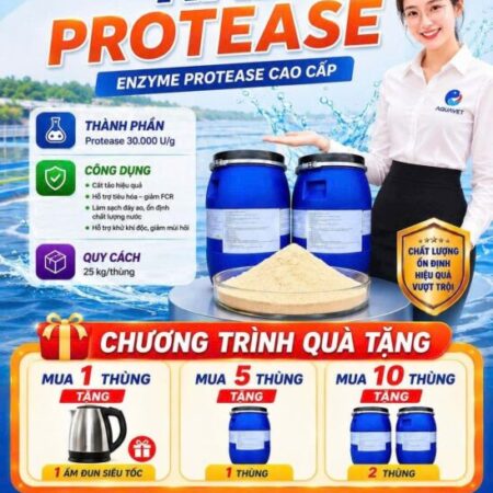 Enzyme cắt tảo hiệu quả