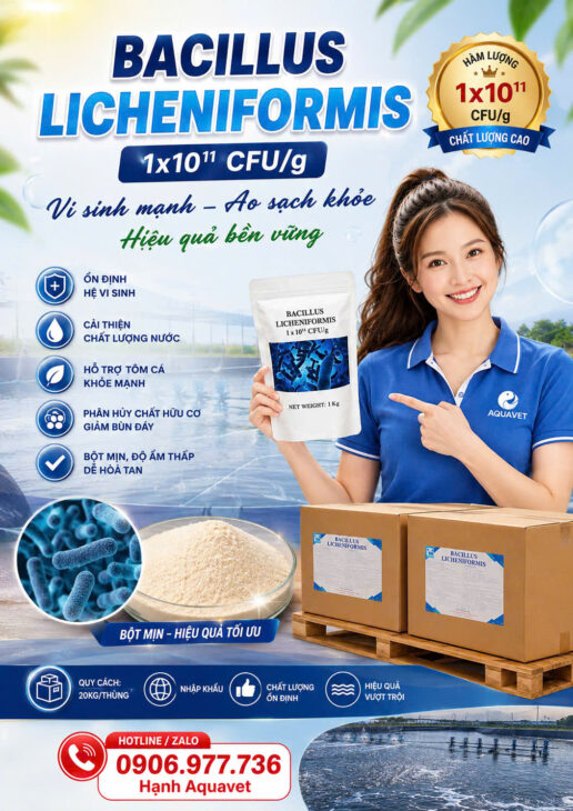 Bacillus Licheniformis ép khuẩn hại