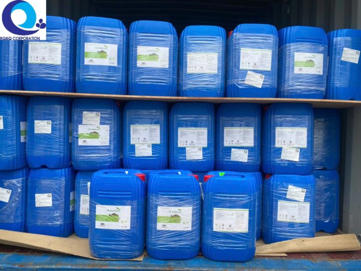 OR-IMMUNO – GIẢI PHÁP HỖ TRỢ SỨC KHỎE TÔM Chiết xuất thực vật kết hợp vitamin