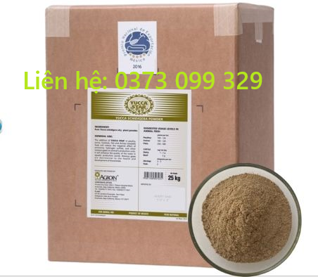 YUCCA STAR POWDER – GIẢI PHÁP BỔ SUNG YUCCA TỰ NHIÊN CHO MÔI TRƯỜNG NUÔI YUCCA STAR POWDER – GIẢI PHÁP BỔ SUNG YUCCA TỰ NHIÊN CHO MÔI TRƯỜNG NUÔI