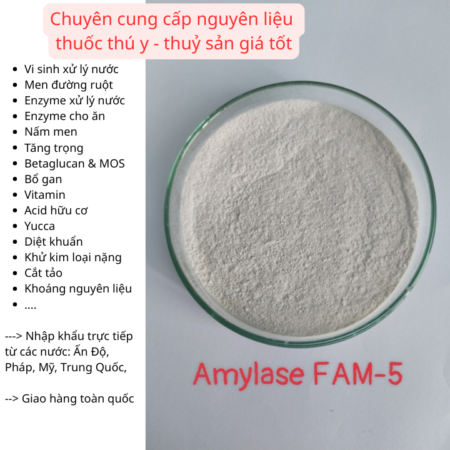 AMYLASE FAM-5 – HÀNG ENZYME AMYLASE SẴN KHO Một lựa chọn phù hợp cho các đơn vị cần nguyên liệu e AMYLASE FAM-5 – HÀNG ENZYME AMYLASE SẴN KHO Một lựa chọn phù hợp cho các đơn vị cần nguyên liệu e