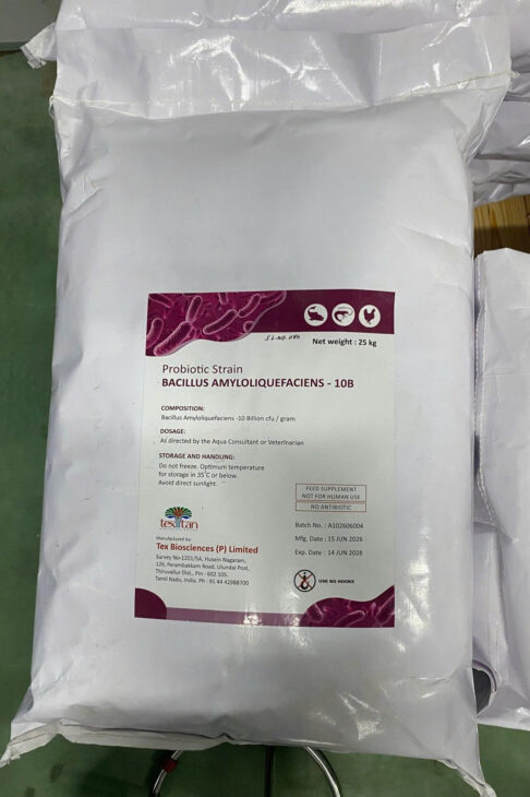 Bacillus Amyloliquefaciens – Vi sinh gốc Ấn Độ siêu mạnh xử lý đáy & nước ao!