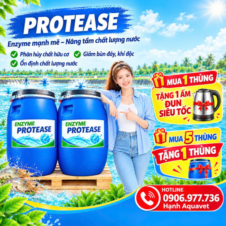 ENZYME XỬ LÝ NƯỚC VÀ CẮT TẢO – PROTEASE