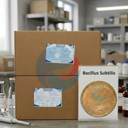BACILLUS SUBTILIS NHẬP KHẨU BACILLUS SUBTILIS NHẬP KHẨU