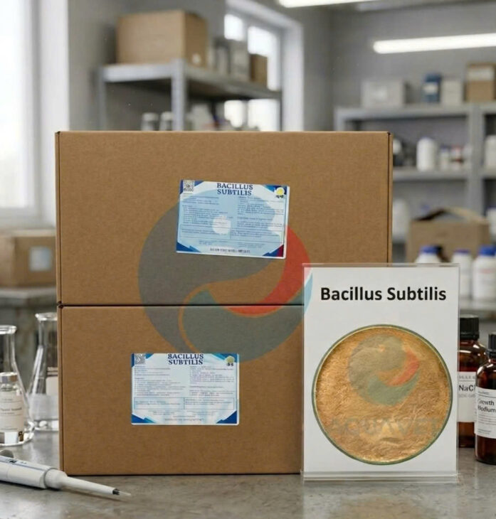 BACILLUS SUBTILIS NHẬP KHẨU